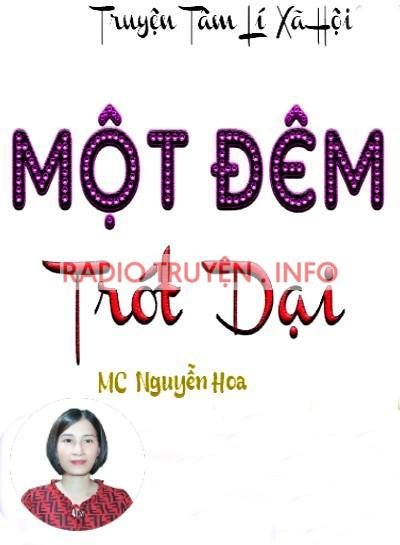 Một Đêm Trót Dại