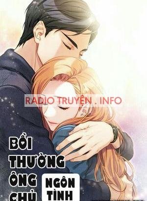 Bồi Thường Ông Chủ