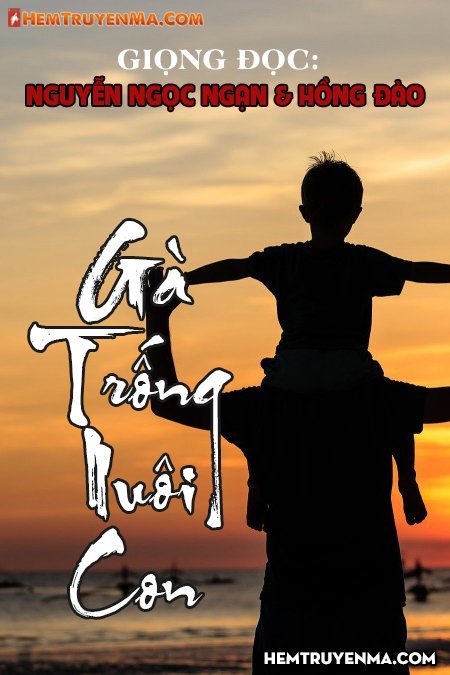 Gà trống nuôi con