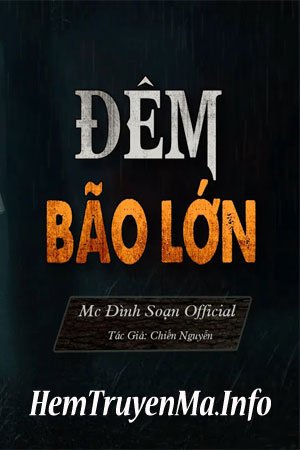 Đêm Bão Lớn - MC Đình Soạn