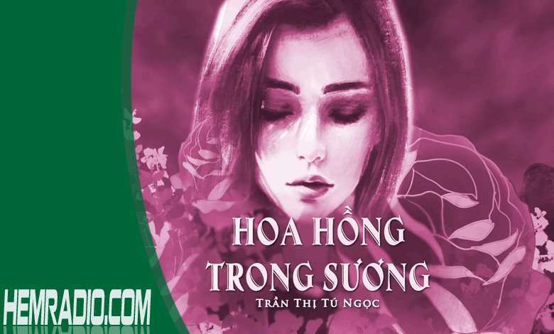 Hoa Hồng Trong Sương