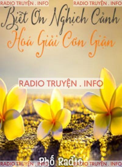 Biết Ơn Nghịch Cảnh, Hoá Giải Cơn Giận