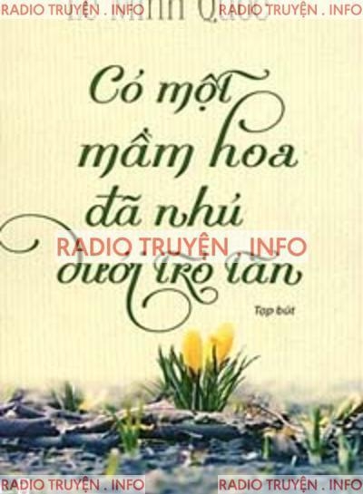 Có Một Mầm Hoa Đã Nhú Dưới Tro Tàn