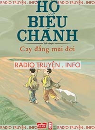 Cay Đắng Mùi Đời