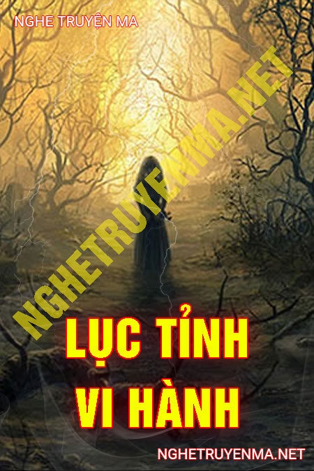 Lục Tỉnh Vi Hành