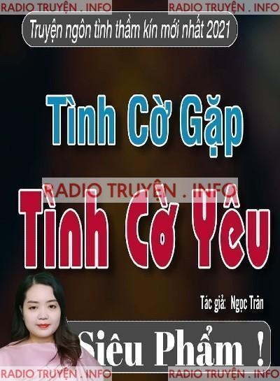 Tình Cờ Gặp Tình Cờ Yêu