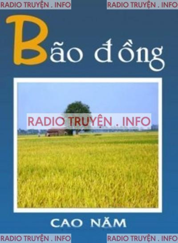 Bão Đồng