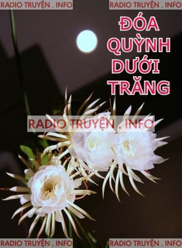 Đóa Quỳnh Dưới Trăng